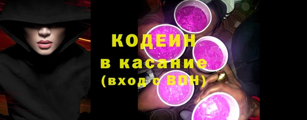 стаф Каменногорск
