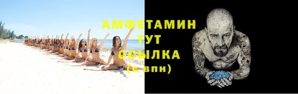 стаф Каменногорск