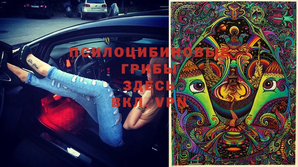 прущая мука Каменка