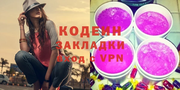 стаф Каменногорск