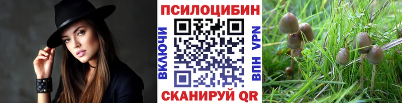 Псилоцибиновые грибы GOLDEN TEACHER  Купить закладки  Трёхгорный 